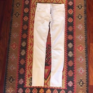 Free people pants
